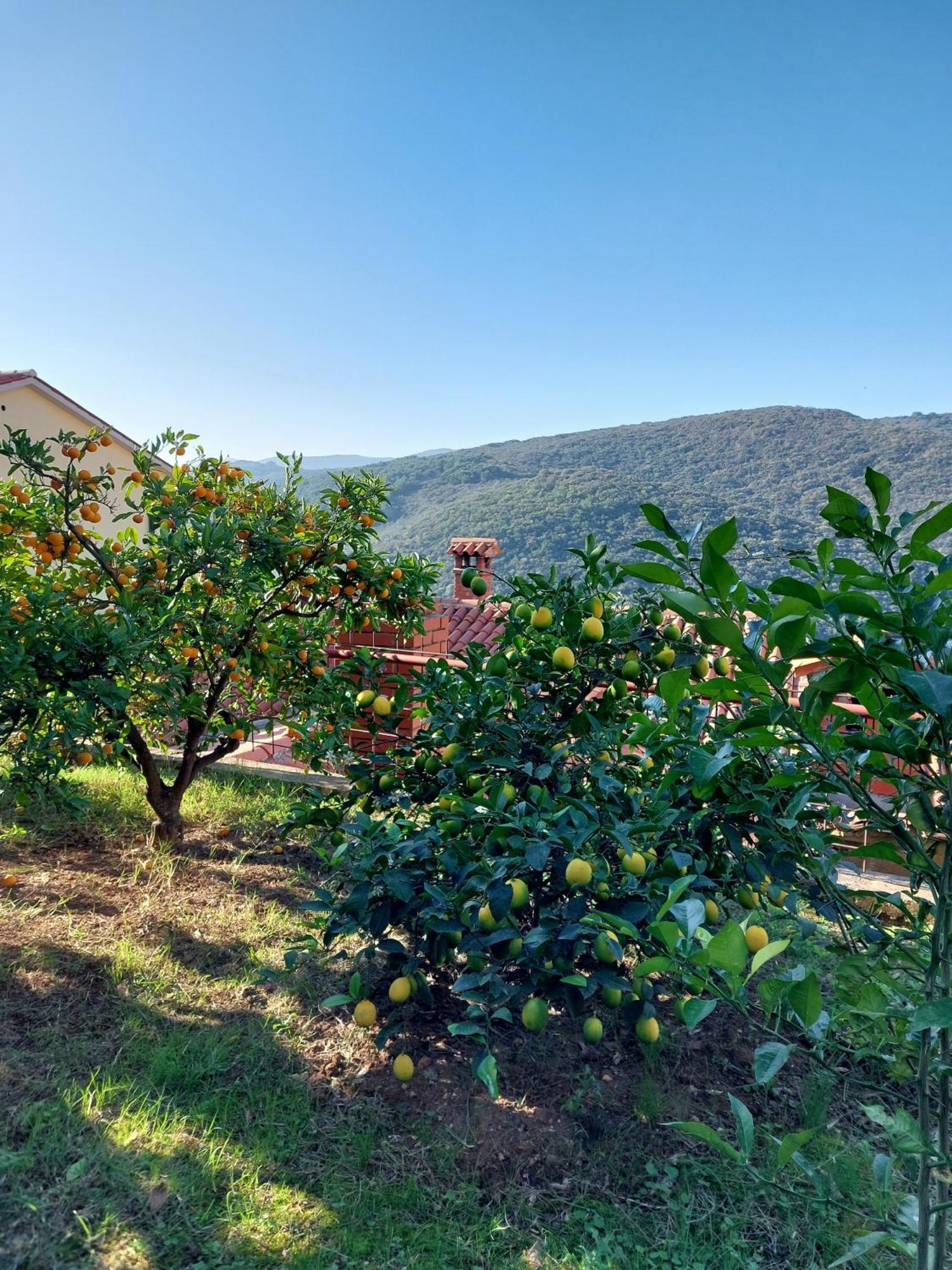 Apartment Kiwi Rabac Εξωτερικό φωτογραφία