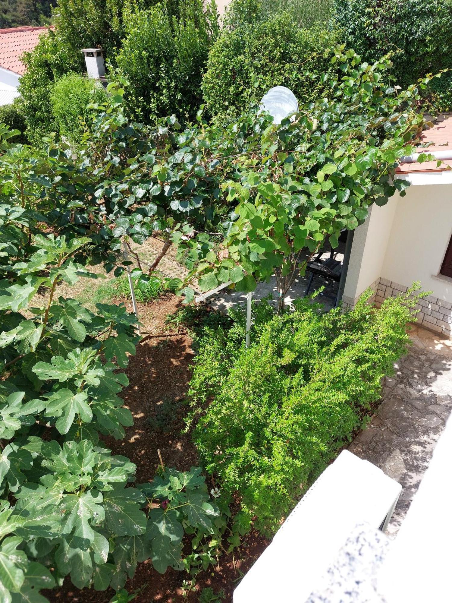 Apartment Kiwi Rabac Εξωτερικό φωτογραφία